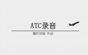 【ATC录音】第70期：机长：小老弟怎么回事？现在才告诉我间隔不够？塔台：你减不减速嘛，不减速复飞绕大方框去（全程字幕+翻译）