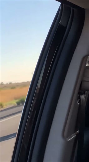 The most unhinged Segway moment ever caught #trending #segway #highway