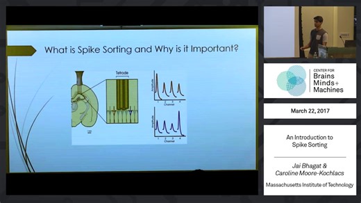 An Introduction to Spike Sorting