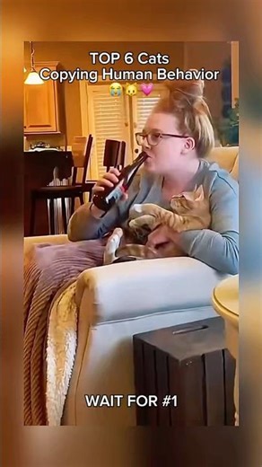 TOP 6 Cats Copying Human Behavior 😭😸🐾