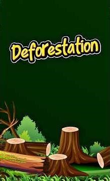 Deforestation - Paragraph Writing - Paragraph for SSC HSC Class 9 10 - English Paragraph