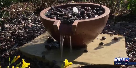 Weekend Gardener: Garden features to attract, benefit birds