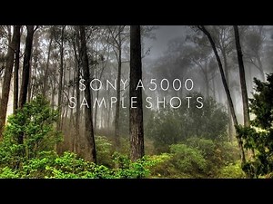 Sony a5000 Sample Shots | Going Vegan