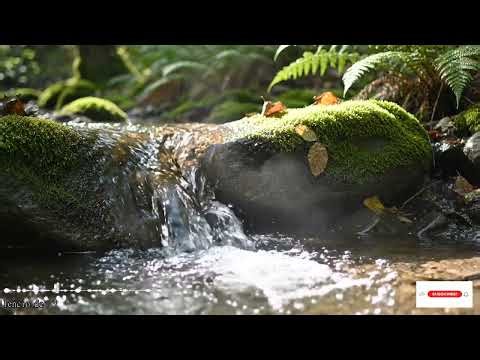 Oración profunda con Salmos de David para hallar descanso y fortaleza en el espíritu fiel