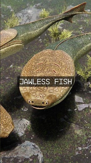 These Alien Like Animals Used To Exist on Earth