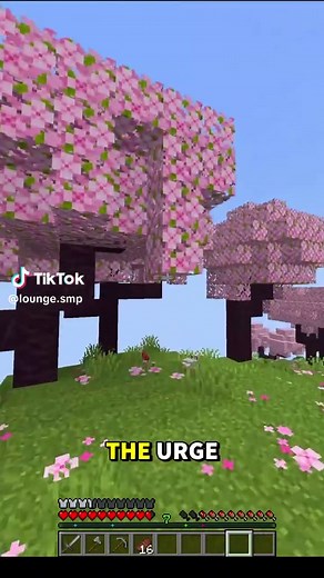 The best server for your next 2 week Minecraft phase #minecraft #smp #java #bedrock