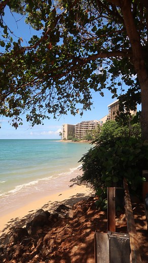This Is How We Bingham on Instagram: "The best way to start your mornings #vacation #views #wakeup #thisishowwebingham #reels #fyp"