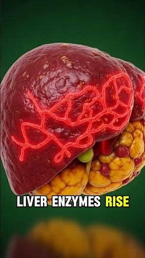 Statin Side Effects Explained: What Really Happens Inside Your Body