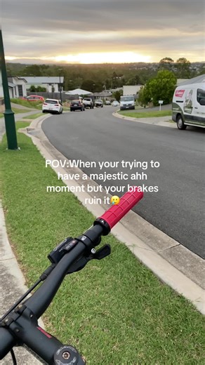 Majestic Moments Interrupted by Brakes