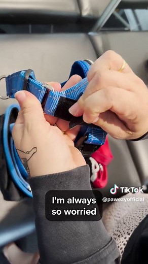 EasyFit No-Pull Harnesses: Comfort and Safety for Dogs