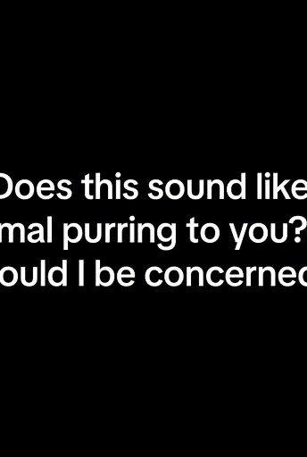 My cat has been purring like this all her life but she always sound congested! Should I be concerned? She also looks like shes taking deep breaths sometimes. #cattok #cat #kitty #cathealth #cats #vethelp