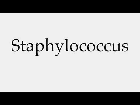 How to Pronounce Staphylococcus