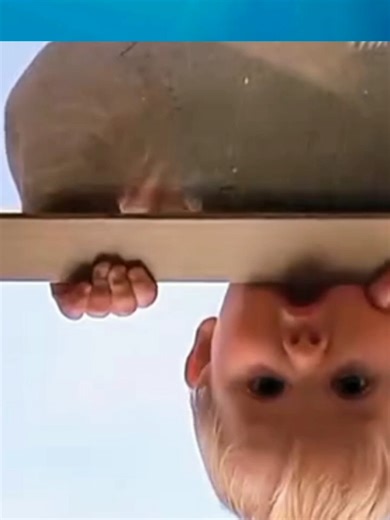 Os vídeos de Felmax Movie (@felmax.movie) com som original - Felmax Movie