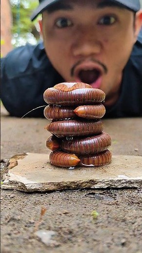 I've been with millipedes for a long time #shorts