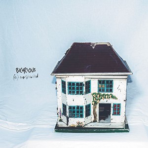 ALBUM REVIEW: (re)constructed - Bicurious - Distorted Sound Magazine