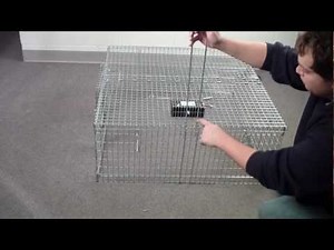 Remote Control Trigger for Drop Trap