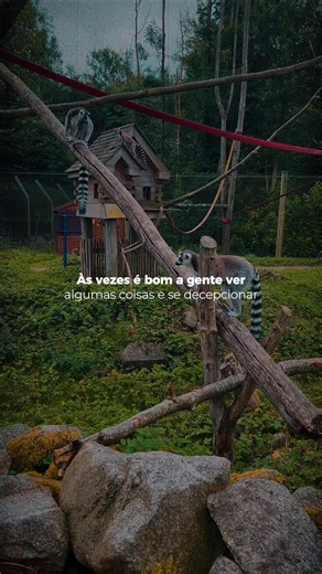 Motivational Moments for Daily Inspiration