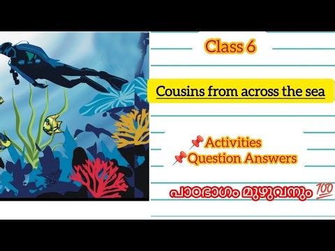 Class 6 English Cousins from across the sea Activities l Question Answer l Scert Kerala