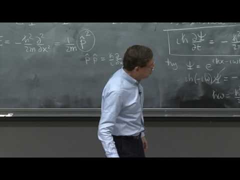 Free Schrödinger equation