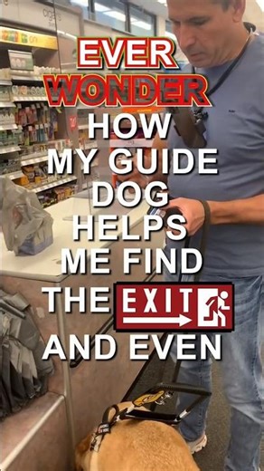 Throwback: My guide dog finds the exit AND my car 🤯🦮 #Shorts