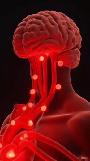 Your Heart Beats 100,000 Times a Day ❤️ | Crazy Human Body Fact