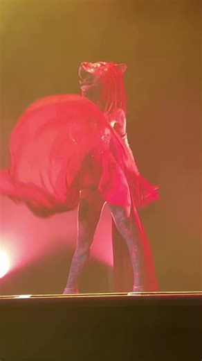 Rhythm of the night 🦁