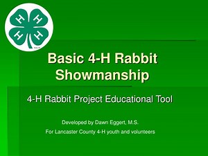 Basic 4-H Rabbit Showmanship - SlideServe