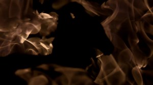 Aquí tenéis el video de SALVAJE: http://smarturl.it/Fuel-Salvaje Este es el primer tema de nuestro nuevo disco que se publicará en Abril. Dirigido por José Mellado y rodado entre Madrid y el desierto de Monegros. Esperamos que os guste!! | Fuel Fandango