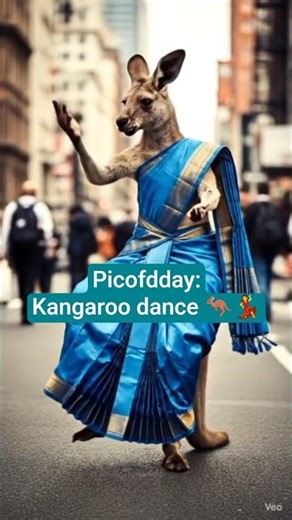 🦘female kangaroo dance in blue saree | funny animal dance #short #picofdday1104 #kangaroo #dance #yt