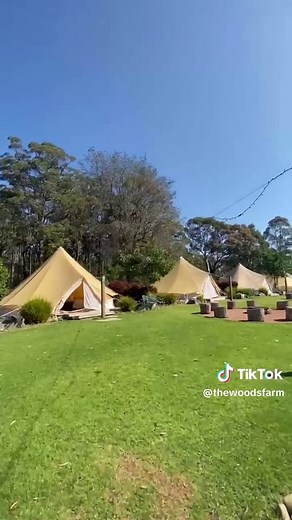 The Woods | Whimsical Weddings on TikTok