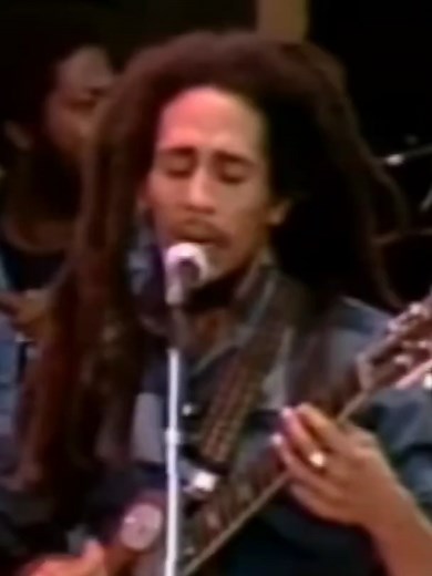 Bob Marley en vivo en Santa Bárbara 1979