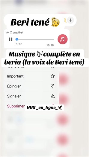 #musically #berita #beritenedumonde #traditional #@kerim beriasso @@_Ben_Idiman01