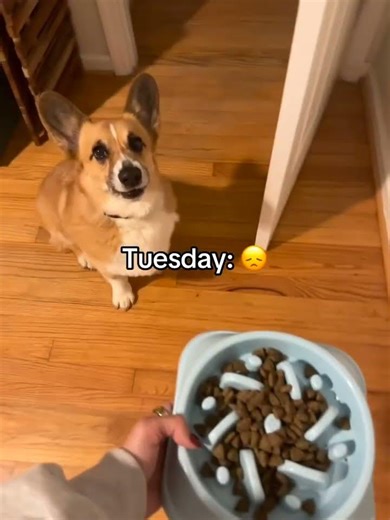 Why am I getting ghosted by recruiters?