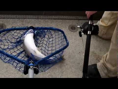 Fishing Lake Koocanusa for Bull Trout