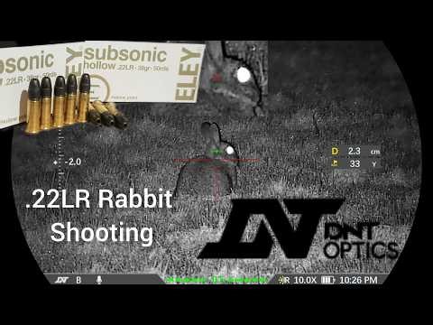 Rabbit shooting / .22LR / DNT Zulus V2