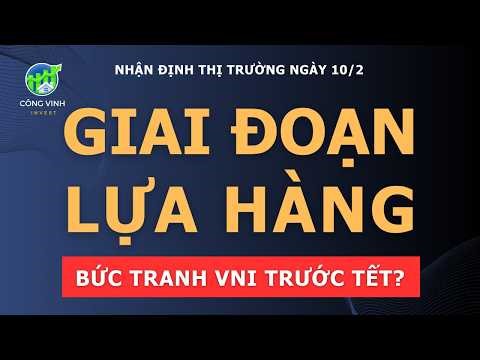 Nhận định thị trường ngày 10/2: GIAI ĐOẠN LỰA HÀNG? BỨC TRANH VNI TRƯỚC TẾT!!?