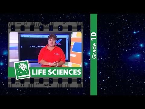 The Chemistry of Life