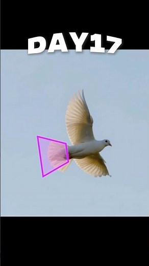 What is a Dovetail Joint 🕊️?