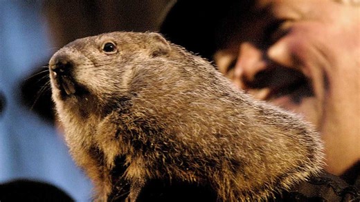 This Day in History: First Groundhog Day celebrated Feb. 2, 1887