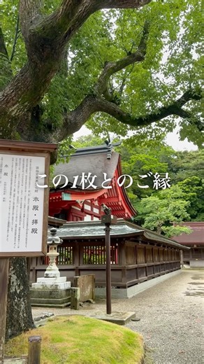 【御朱印巡り Vol.4】世界遺産・宗像大社の御朱印｜海を見守る神社⛩️