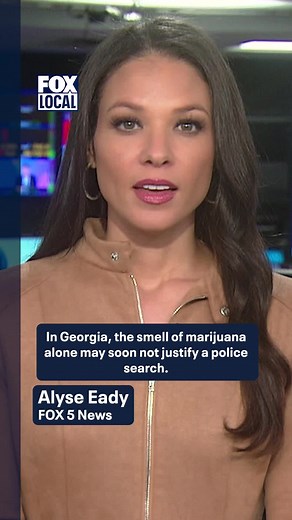 The smell of marijuana alone may soon not justify probable cause in a police search. 🍃 @Alyse_EadyTV #Georgia #HB496 #ProbableCause #Weed #News #FOX5ATL