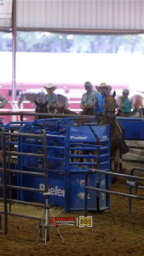 14K views · 308 reactions | "Stephenville Shootout" presented by: X-Treme Team Roping 鸞 #12.5 Pendleton Rnd 3: Reed Volf & Kase Key ⏱️9.50 seconds (24.82 on 3 head) Watch live: xftr.net/ss25 Run Delivery: XFRundelivery.com | X Factor Roping | Facebook