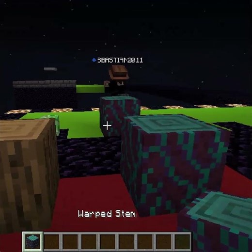 Errate den Block 12 #foryou #minecraft #challenge #foryou #short