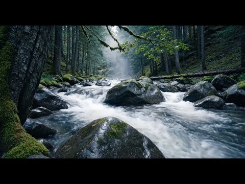 LIVE ASMR 🌿 Pure River Sounds You’ve Never Heard Before