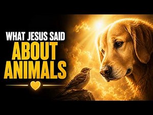 The Words Jesus Spoke About Animals Almost No One Notices