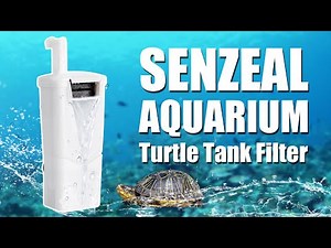 How to Take Care for Turtles | Turtle Filtration - from senzeal.com