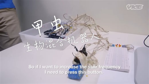 【转载】生物混合甲虫机器人（Singapore's Remote-Controlled Cyborg Insects）
