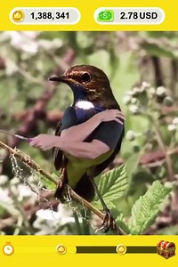 443K views · 517 reactions |  Watch funny videos and get rewards. | ClipClaps | Facebook