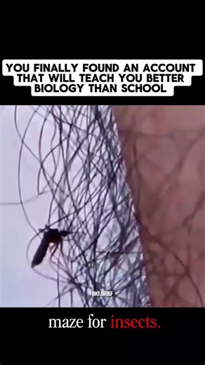 #science #medical #knowledge #biology #healthtip