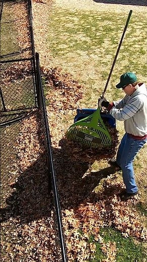 Spring Cleanup: Finally Tackling Those Stubborn Oak Leaves! #lawncare